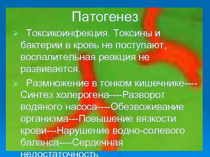 Патогенез Токсикоинфекция. Токсины и бактерии в кровь не поступают, воспалительная реакция не развивается. Ø
