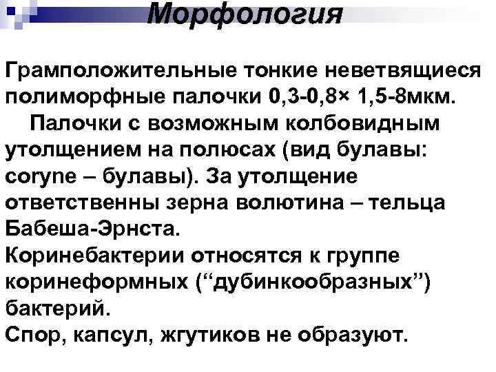 Морфология Грамположительные тонкие неветвящиеся полиморфные палочки 0, 3 -0, 8× 1, 5 -8 мкм.