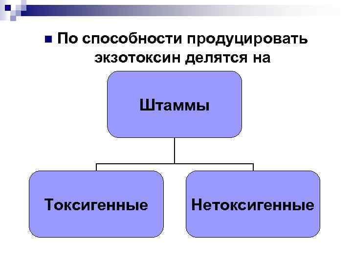 n По способности продуцировать экзотоксин делятся на Штаммы Токсигенные Нетоксигенные 