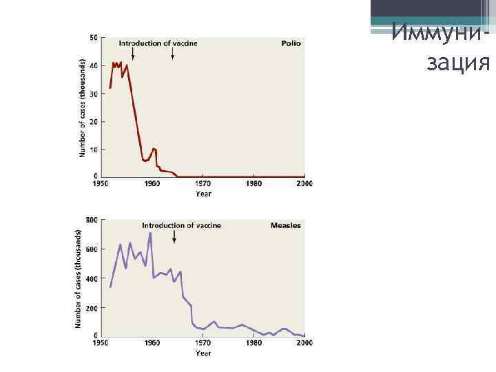 Иммунизация 