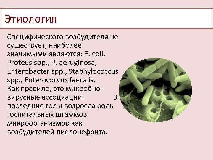 Этиология это. Специфический возбудитель ТВС. Специфичность возбудителя это. Специфическая этиология. ТФС специфического возбудителя.