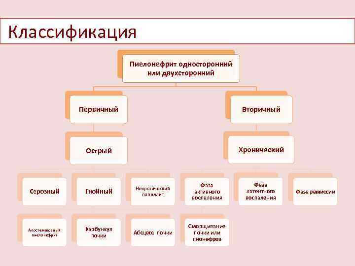 Классификация Пиелонефрит односторонний или двухсторонний Первичный Вторичный Острый Хронический Серозный Гнойный Некротический папиллит Апостематозный