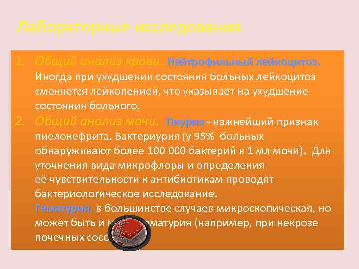 Лабораторные исследования 1. Общий анализ крови. Нейтрофильный лейкоцитоз. Иногда при ухудшении состояния больных лейкоцитоз