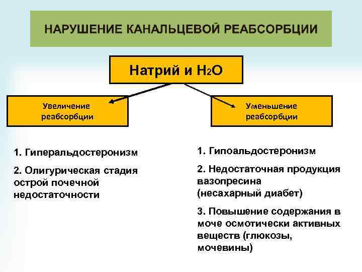 Натрий и Н 2 О Увеличение реабсорбции Уменьшение реабсорбции 1. Гиперальдостеронизм 1. Гипоальдостеронизм 2.