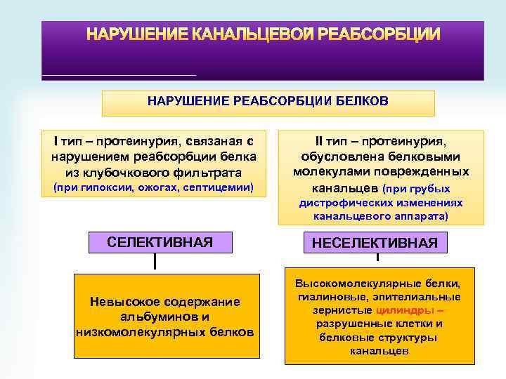 НАРУШЕНИЕ КАНАЛЬЦЕВОЙ РЕАБСОРБЦИИ НАРУШЕНИЕ РЕАБСОРБЦИИ БЕЛКОВ І тип – протеинурия, связаная с нарушением реабсорбции