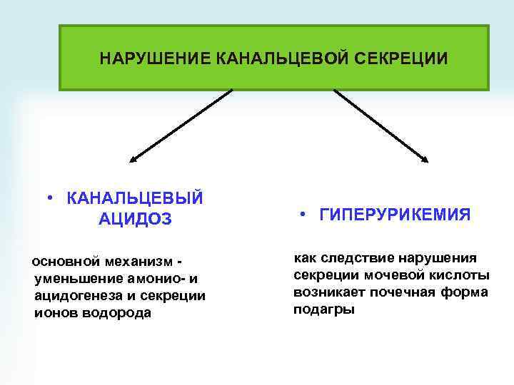 Нарушение секреции. Нарушение канальцевой секреции. Нарушение канальцевой секреции почек. Причины и механизмы нарушений канальцевой секреции. Механизм нарушения почечной секреции.