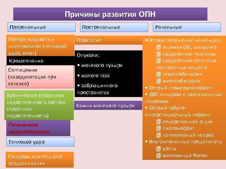 Причины развития ОПН Преренальные Потеря жидкости и электролитов (тепловой удар, ожог) Кровотечение Септицемия (вазодилятация