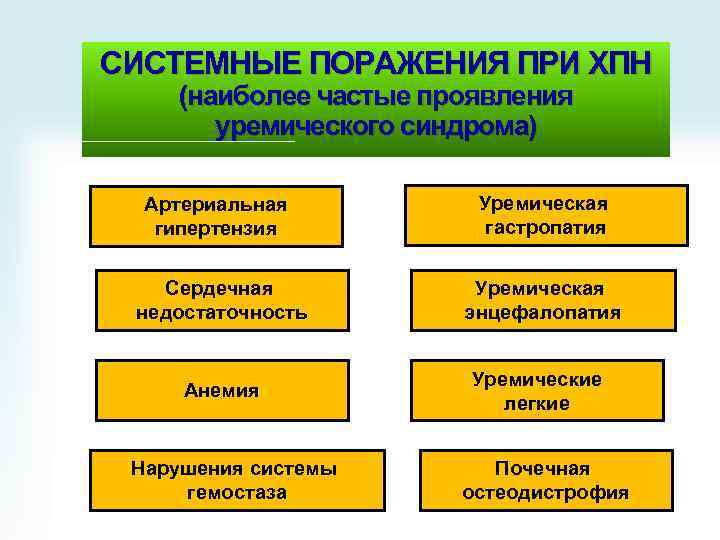 СИСТЕМНЫЕ ПОРАЖЕНИЯ ПРИ ХПН (наиболее частые проявления уремического синдрома) Артериальная гипертензия Уремическая гастропатия Сердечная