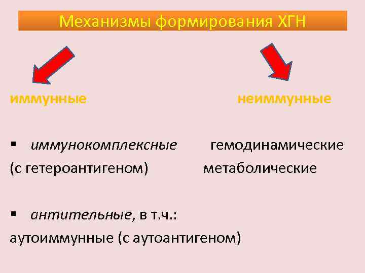 Механизмы формирования ХГН иммунные § иммунокомплексные (с гетероантигеном) неиммунные гемодинамические метаболические § антительные, в