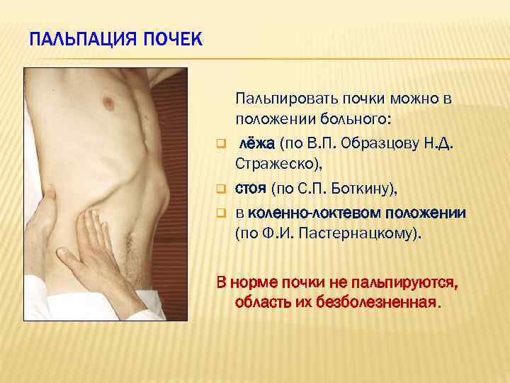 ПАЛЬПАЦИЯ ПОЧЕК q q q Пальпировать почки можно в положении больного: лёжа (по В.