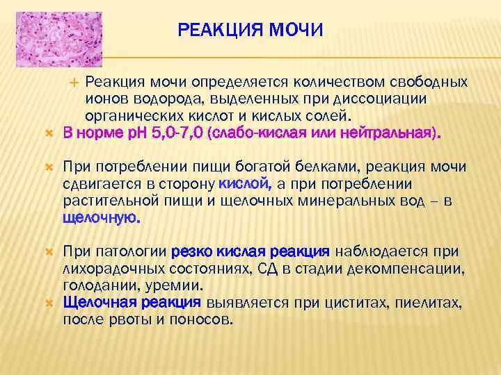 РЕАКЦИЯ МОЧИ Реакция мочи определяется количеством свободных ионов водорода, выделенных при диссоциации органических кислот