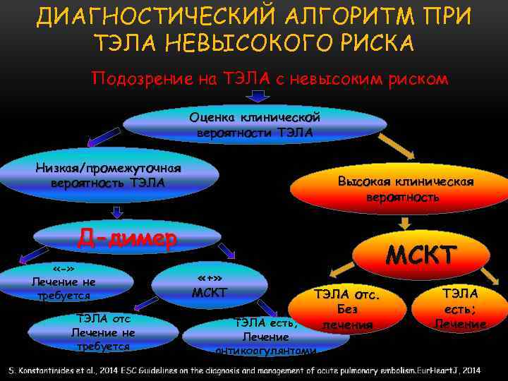 ДИАГНОСТИЧЕСКИЙ АЛГОРИТМ ПРИ ТЭЛА НЕВЫСОКОГО РИСКА Подозрение на ТЭЛА с невысоким риском Оценка клинической