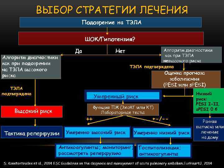 ВЫБОР СТРАТЕГИИ ЛЕЧЕНИЯ Подозрение на ТЭЛА ШОК/Гипотензия? Нет Да Алгоритм диагностики как при подозрении