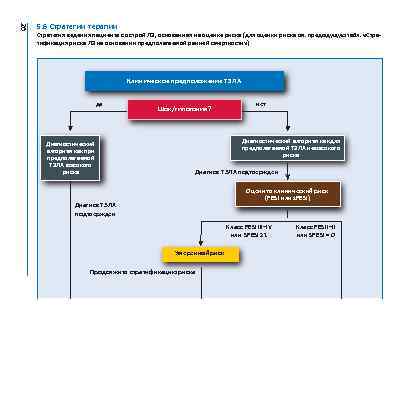 26 5. 6 Стратегии терапии Стратегия ведения пациента с острой ЛЭ, основанная на оценке