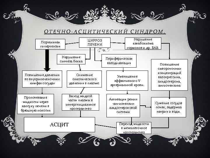 ОТЕЧНО-АСЦИТИЧЕСКИЙ СИНДРОМ. ЦИРРОЗ ПЕЧЕНИ Портальная гипертензия Нарушение синтеза белка Повышение давления во внутрипеченочных лимфат.