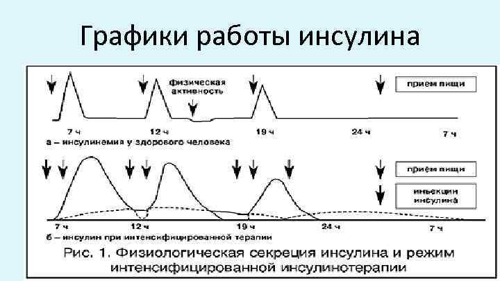 Графики работы инсулина 