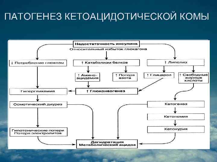 ПАТОГЕНЕЗ КЕТОАЦИДОТИЧЕСКОЙ КОМЫ 