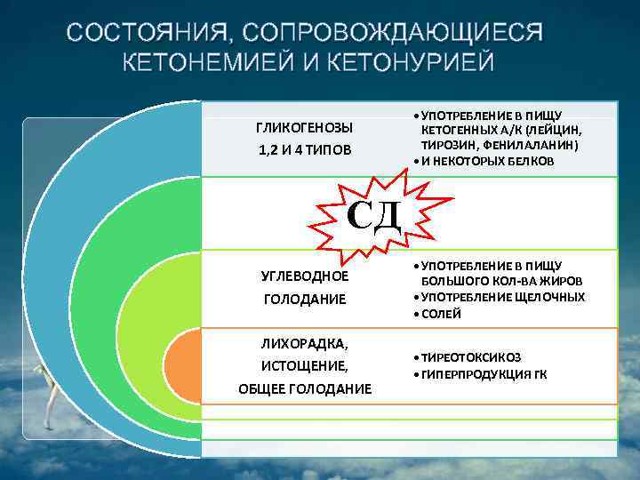 СОСТОЯНИЯ, СОПРОВОЖДАЮЩИЕСЯ КЕТОНЕМИЕЙ И КЕТОНУРИЕЙ ГЛИКОГЕНОЗЫ 1, 2 И 4 ТИПОВ • УПОТРЕБЛЕНИЕ В