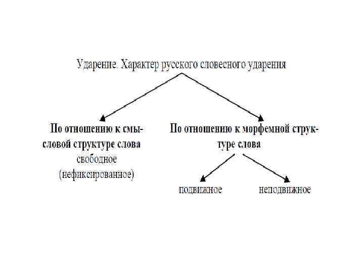 Звуки сторона