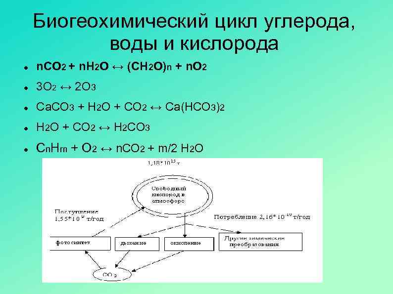 Биогеохимический цикл воды схема