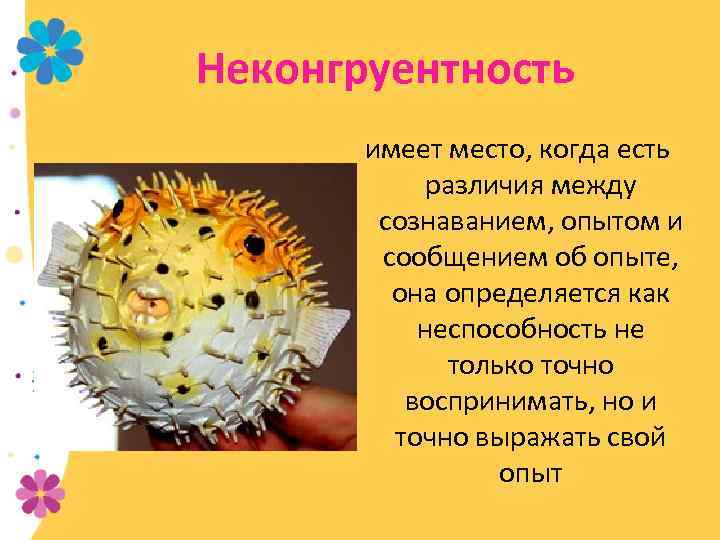 Неконгруентность имеет место, когда есть различия между сознаванием, опытом и сообщением об опыте, она
