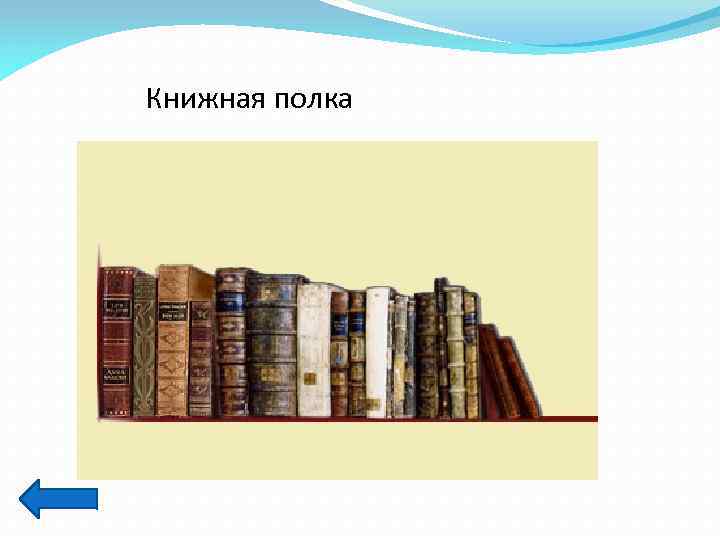 Книжная полка 