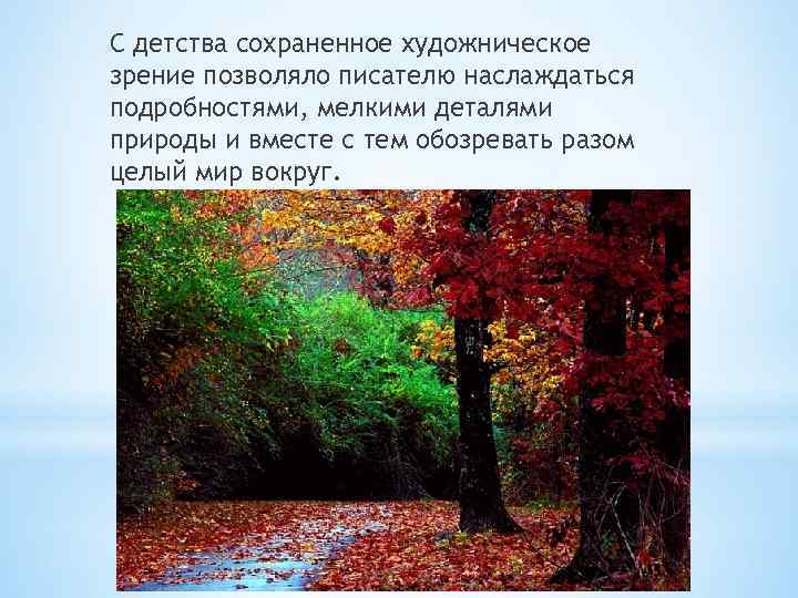 С детства сохраненное художническое зрение позволяло писателю наслаждаться подробностями, мелкими деталями природы и вместе