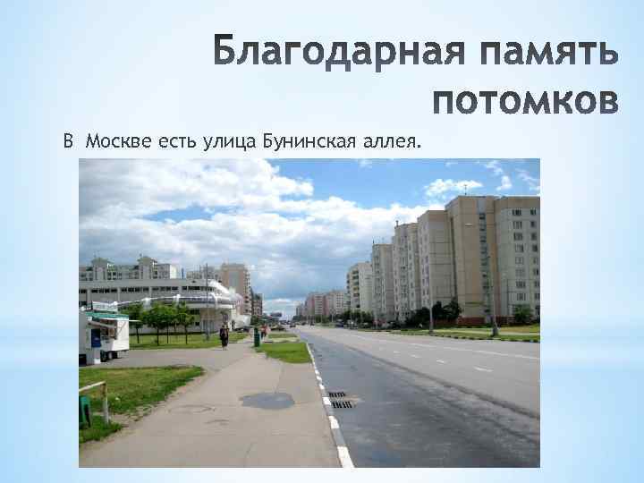 В Москве есть улица Бунинская аллея. 
