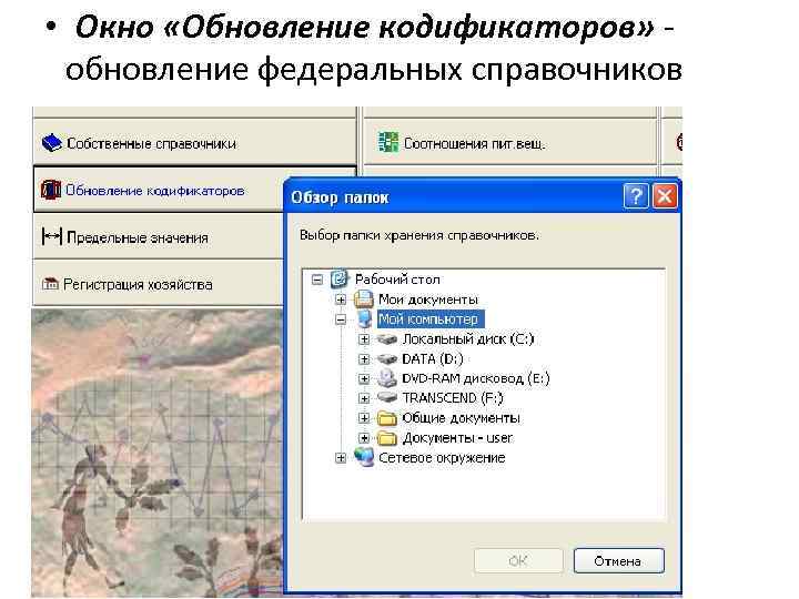  • Окно «Обновление кодификаторов» обновление федеральных справочников 