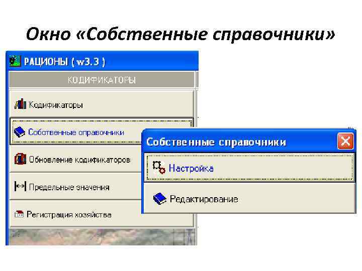 Окно «Собственные справочники» 