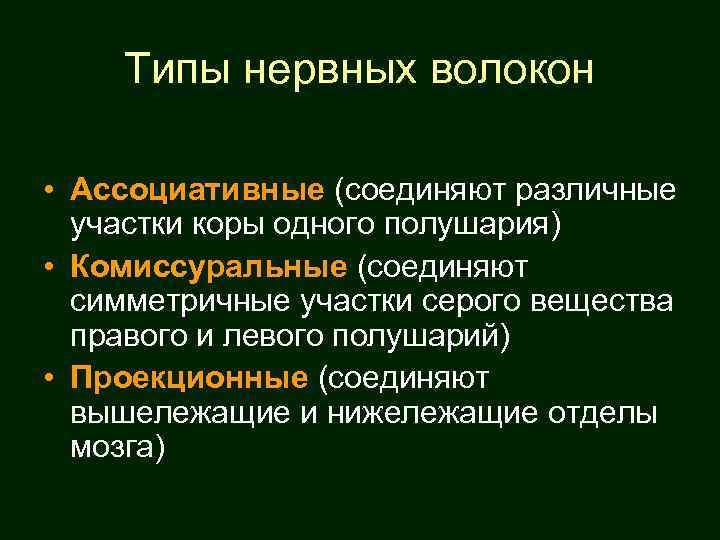 Типы нервных волокон • Ассоциативные (соединяют различные участки коры одного полушария) • Комиссуральные (соединяют