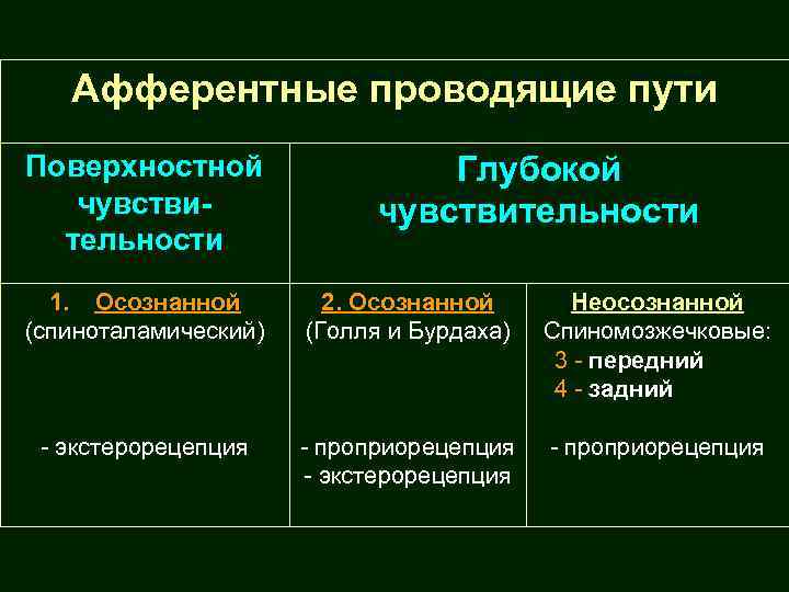 Афферентные проводящие пути Поверхностной чувствительности Глубокой чувствительности 1. Осознанной (спиноталамический) 2. Осознанной (Голля и
