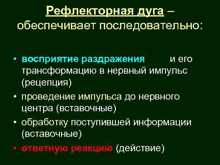 Рефлекторная дуга – обеспечивает последовательно: • восприятие раздражения и его трансформацию в нервный импульс