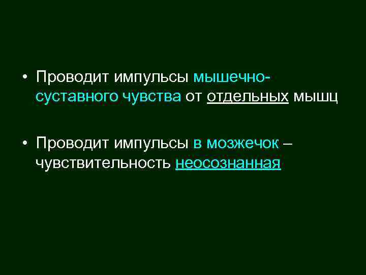  • Проводит импульсы мышечносуставного чувства от отдельных мышц • Проводит импульсы в мозжечок