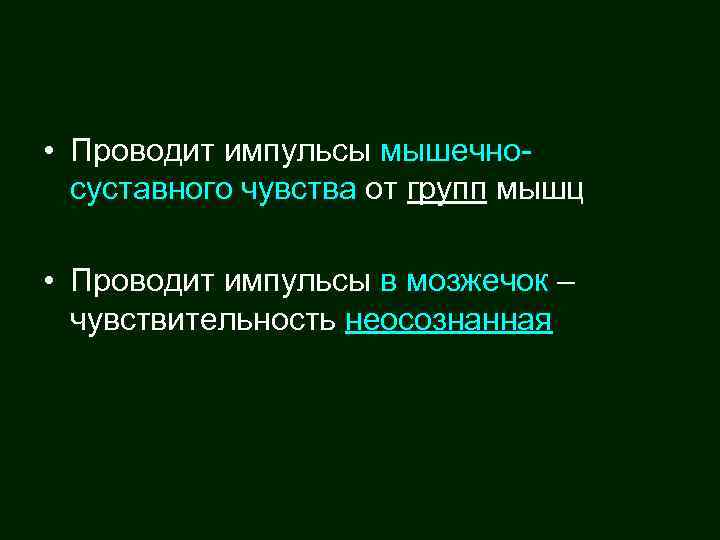  • Проводит импульсы мышечносуставного чувства от групп мышц • Проводит импульсы в мозжечок