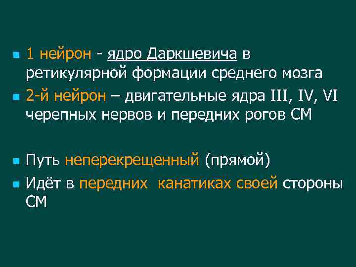 n n 1 нейрон - ядро Даркшевича в ретикулярной формации среднего мозга 2 -й