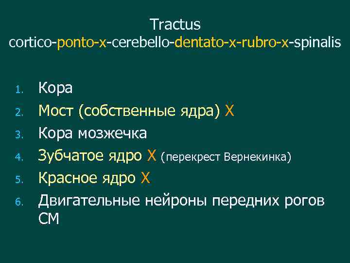 Tractus cortico-ponto-x-cerebello-dentato-x-rubro-x-spinalis 1. 2. 3. 4. 5. 6. Кора Мост (собственные ядра) Х Кора