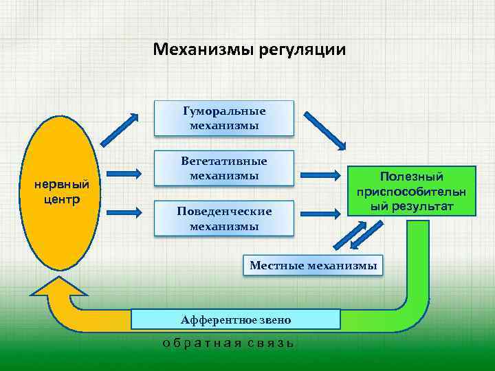 Механизмы геншин импакт