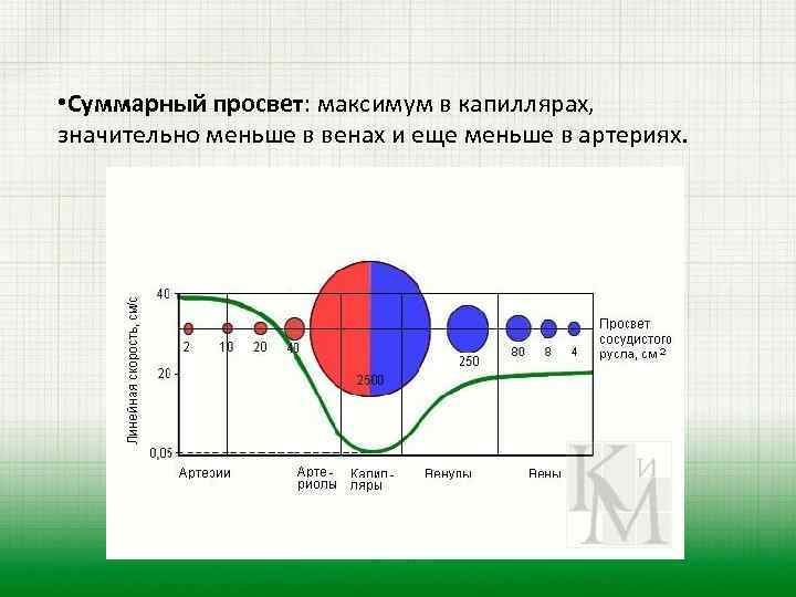 Как изменяется просвет артерий