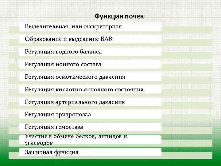 Функции почек Выделительная, или экскреторная Образование и выделение БАВ Регуляция водного баланса Регуляция ионного