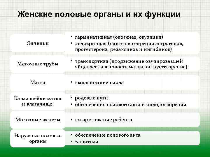 Женские половые органы и их функции Яичники • герминативная (овогенез, овуляция) • эндокринная (синтез