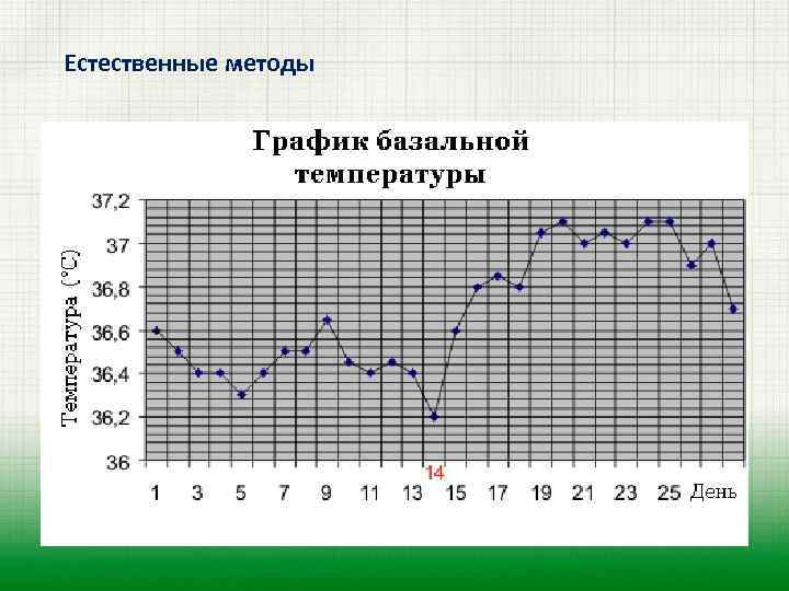 Естественные методы 