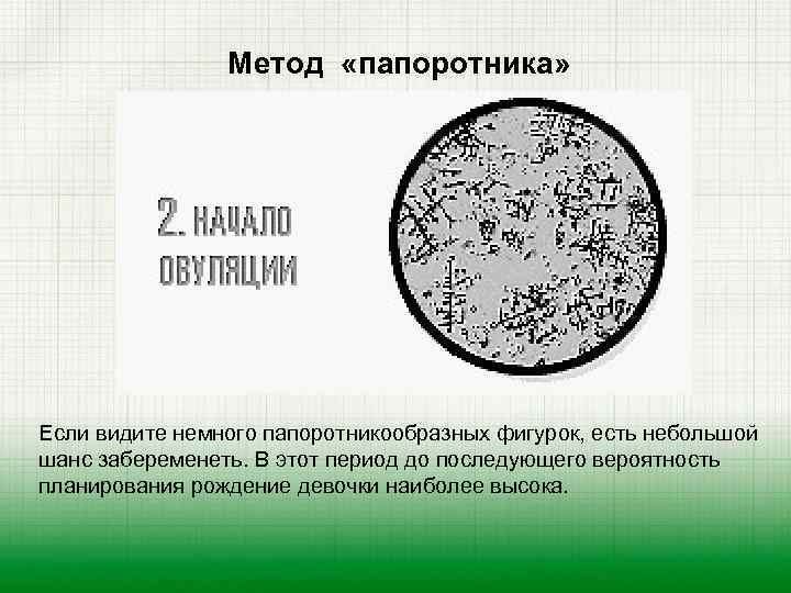 Метод «папоротника» Если видите немного папоротникообразных фигурок, есть небольшой шанс забеременеть. В этот период