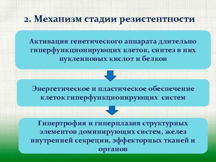 2. Механизм стадии резистентности Активация генетического аппарата длительно гиперфункционирующих клеток, синтез в них нуклеиновых