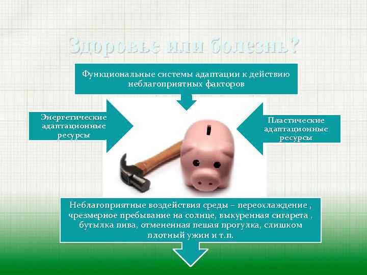 Здоровье или болезнь? Функциональные системы адаптации к действию неблагоприятных факторов Энергетические адаптационные ресурсы Пластические