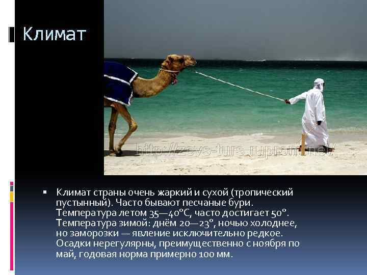 Климат страны очень жаркий и сухой (тропический пустынный). Часто бывают песчаные бури. Температура летом