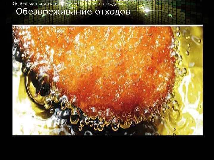 Основные понятия в сфере обращения с отходами Обезвреживание отходов 