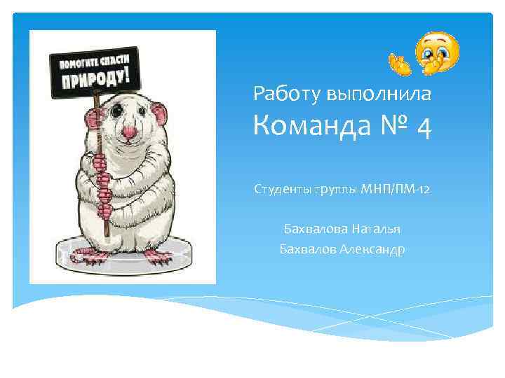 Работу выполнила Команда № 4 Студенты группы МНП/ПМ-12 Бахвалова Наталья Бахвалов Александр 