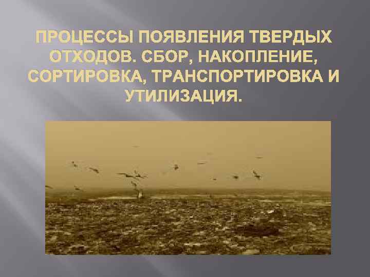 ПРОЦЕССЫ ПОЯВЛЕНИЯ ТВЕРДЫХ ОТХОДОВ. СБОР, НАКОПЛЕНИЕ, СОРТИРОВКА, ТРАНСПОРТИРОВКА И УТИЛИЗАЦИЯ. 