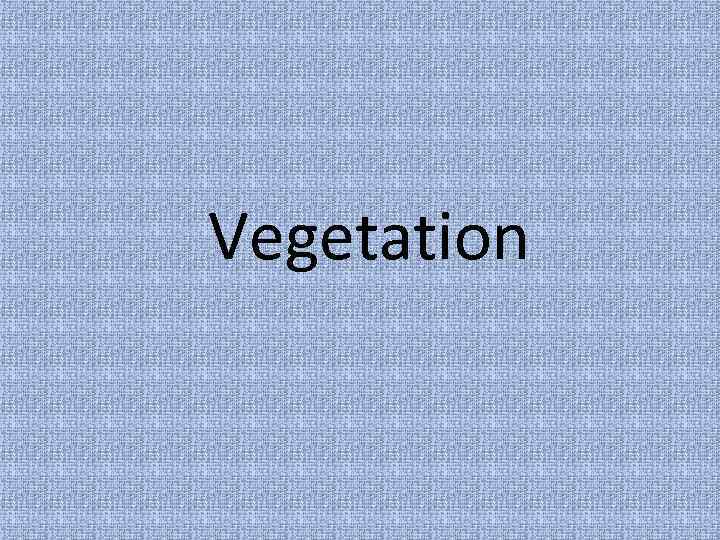 Vegetation 